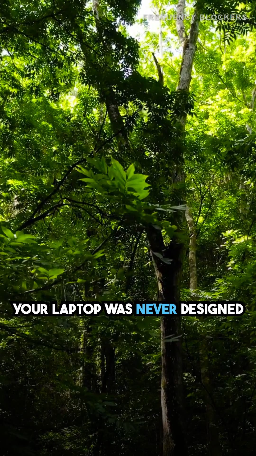 EMF Tip #31: Never Put Your Laptop on Your Lap
