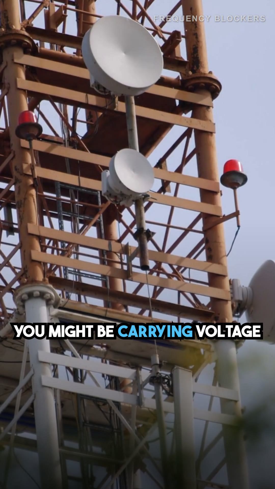 EMF Tip #66: Check for Stray Voltage With a Body Voltage Meter