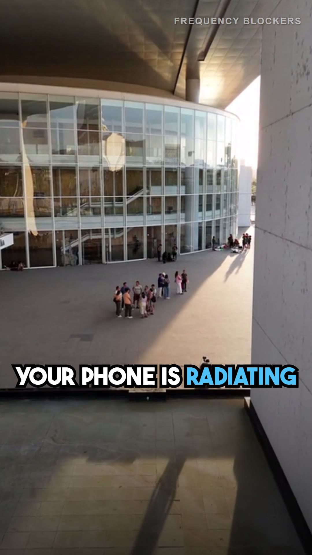 EMF Tip #70: Carry Your Phone in a Faraday Pouch