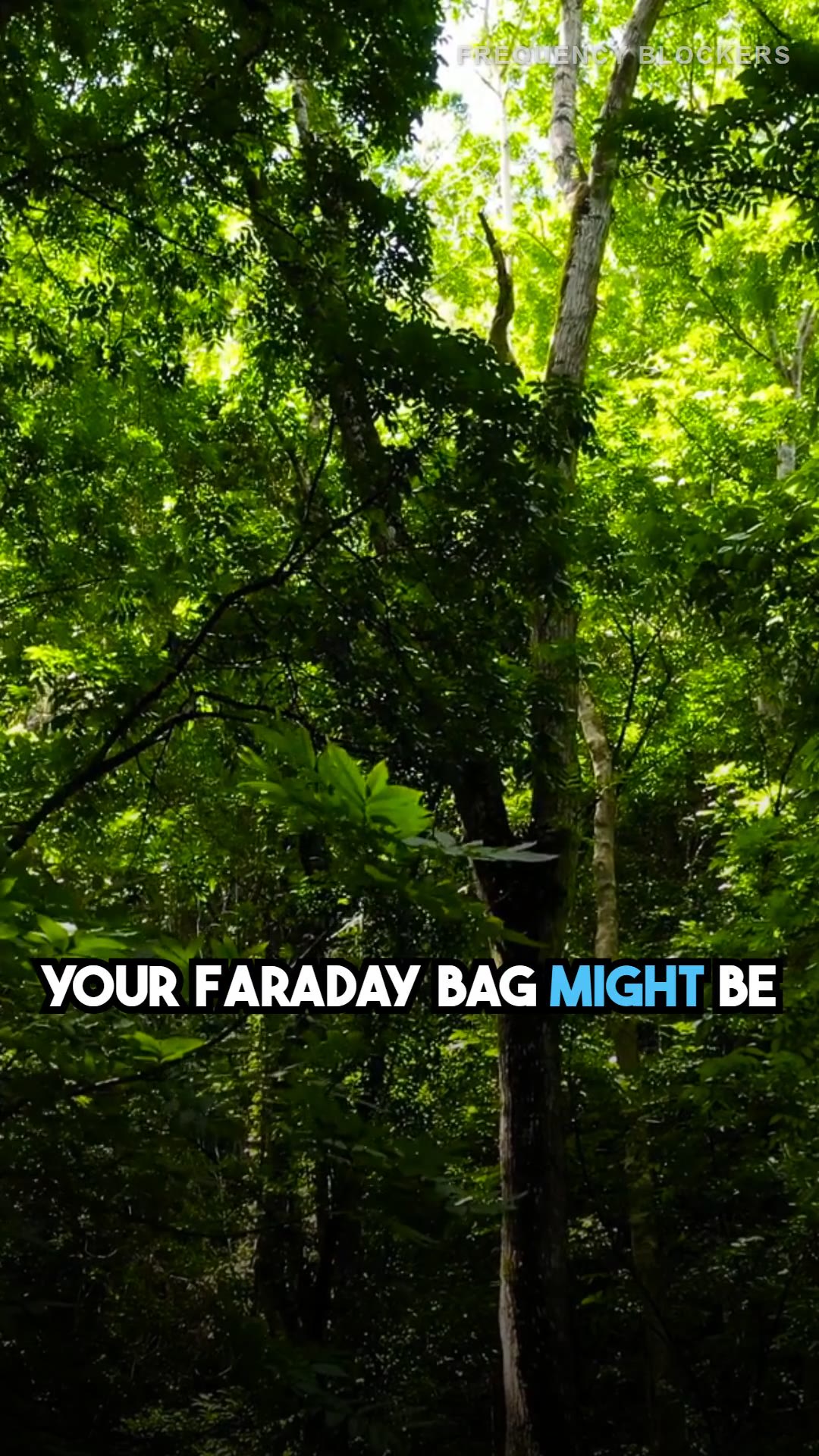 The Ultimate Faraday Bag Buying Guide (2026 Edition)