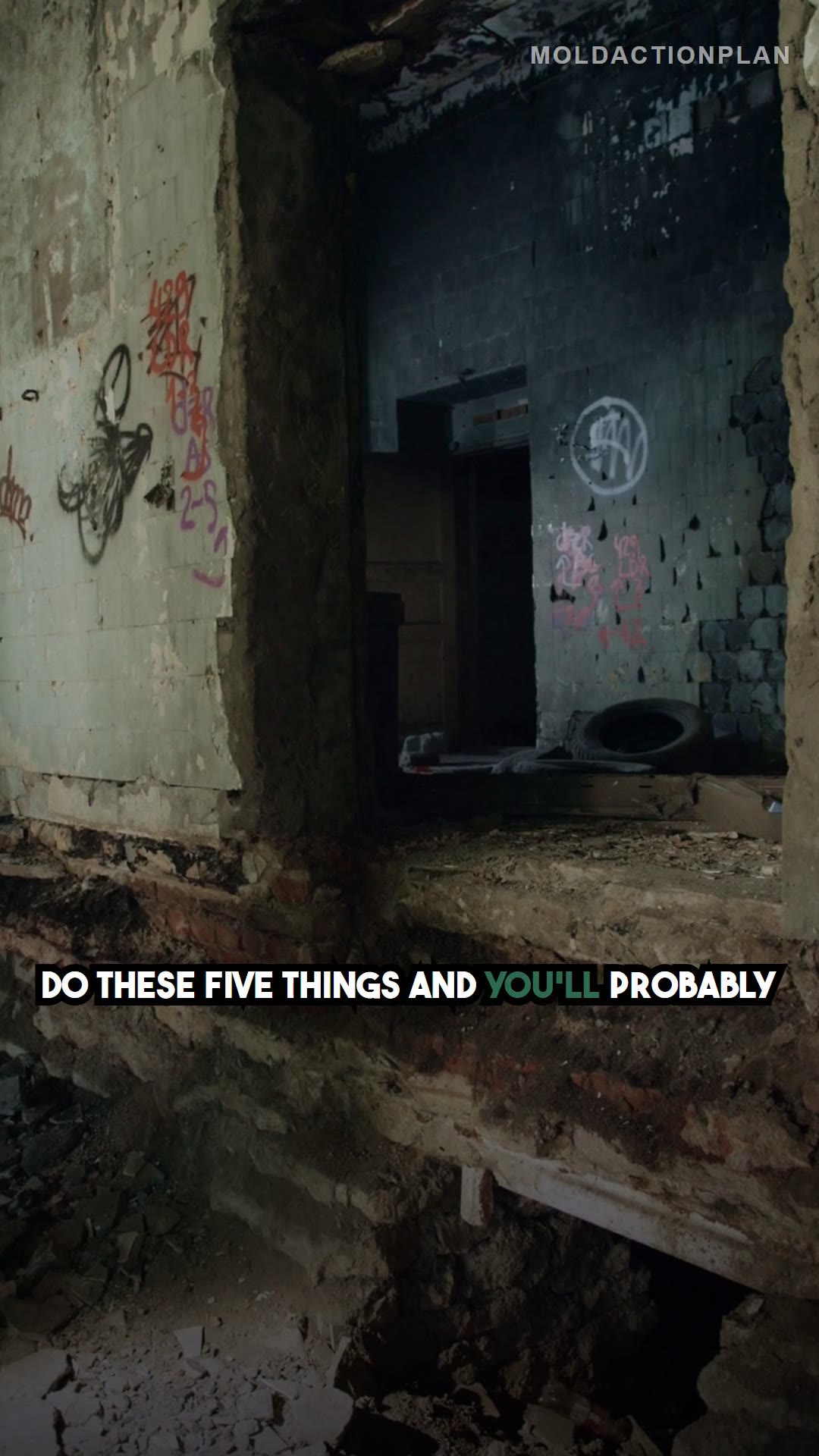 5 Things That Prevent 90% of Mold