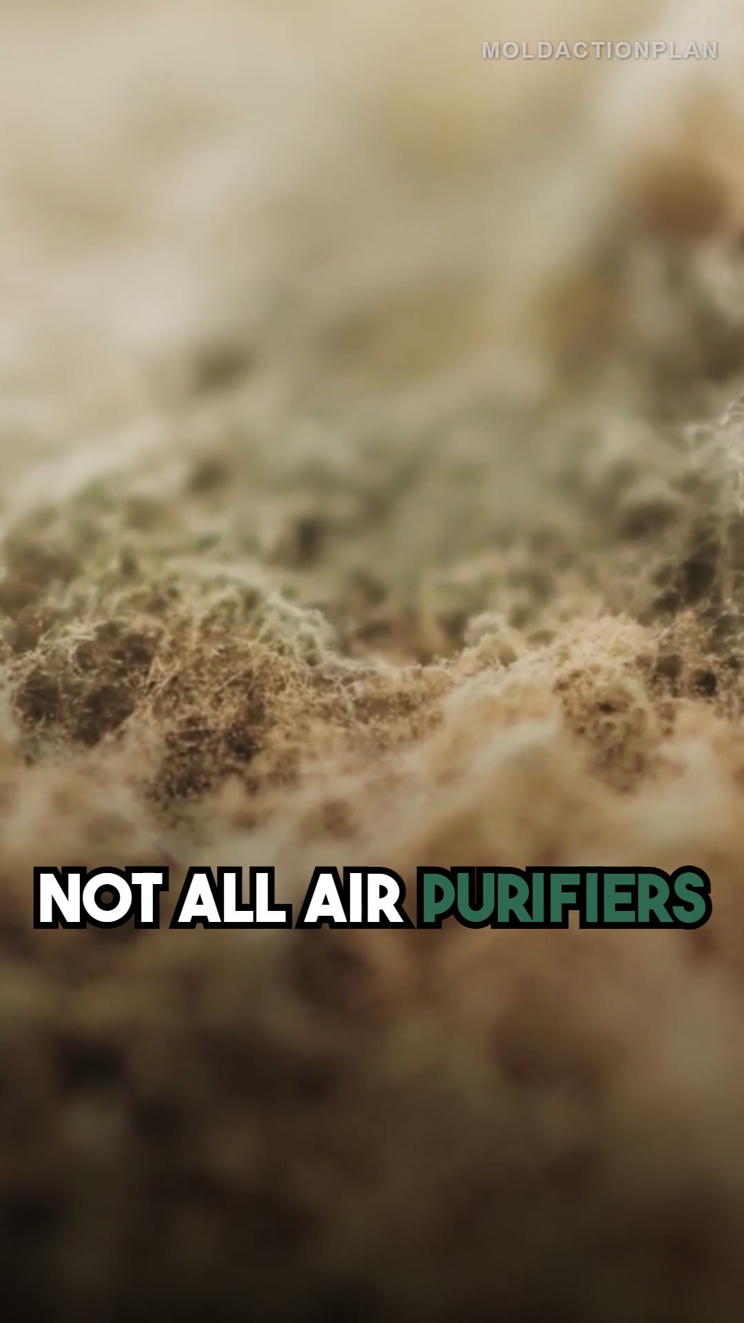 Air Purifier for Mold: What to Look For