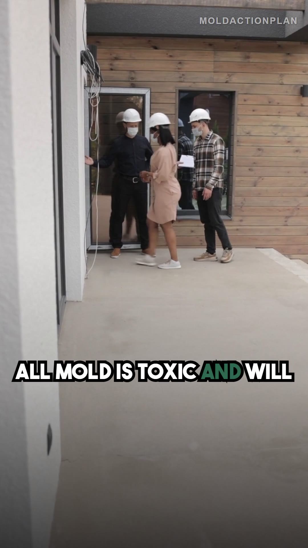 All Mold Is Dangerous: MYTH