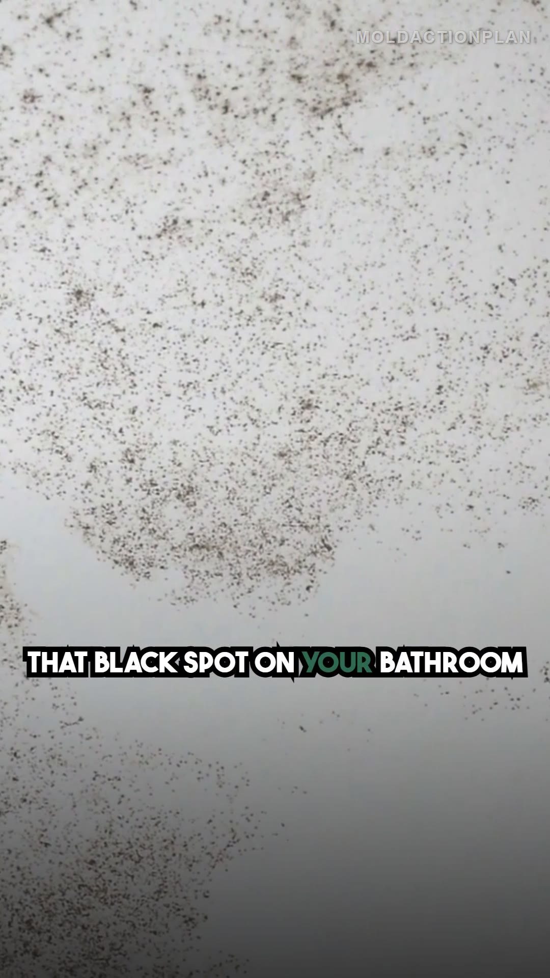 Bathroom Ceiling Mold Removal