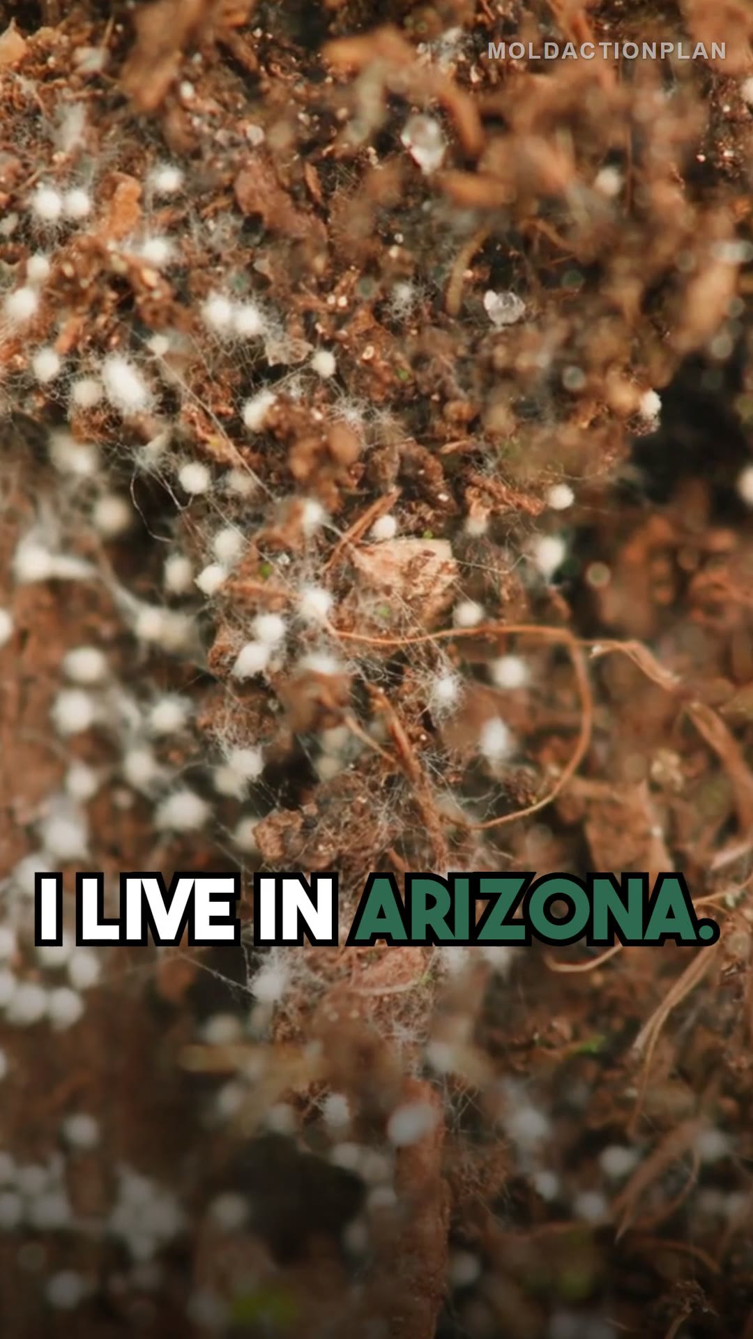 Dry Climate = No Mold: MYTH