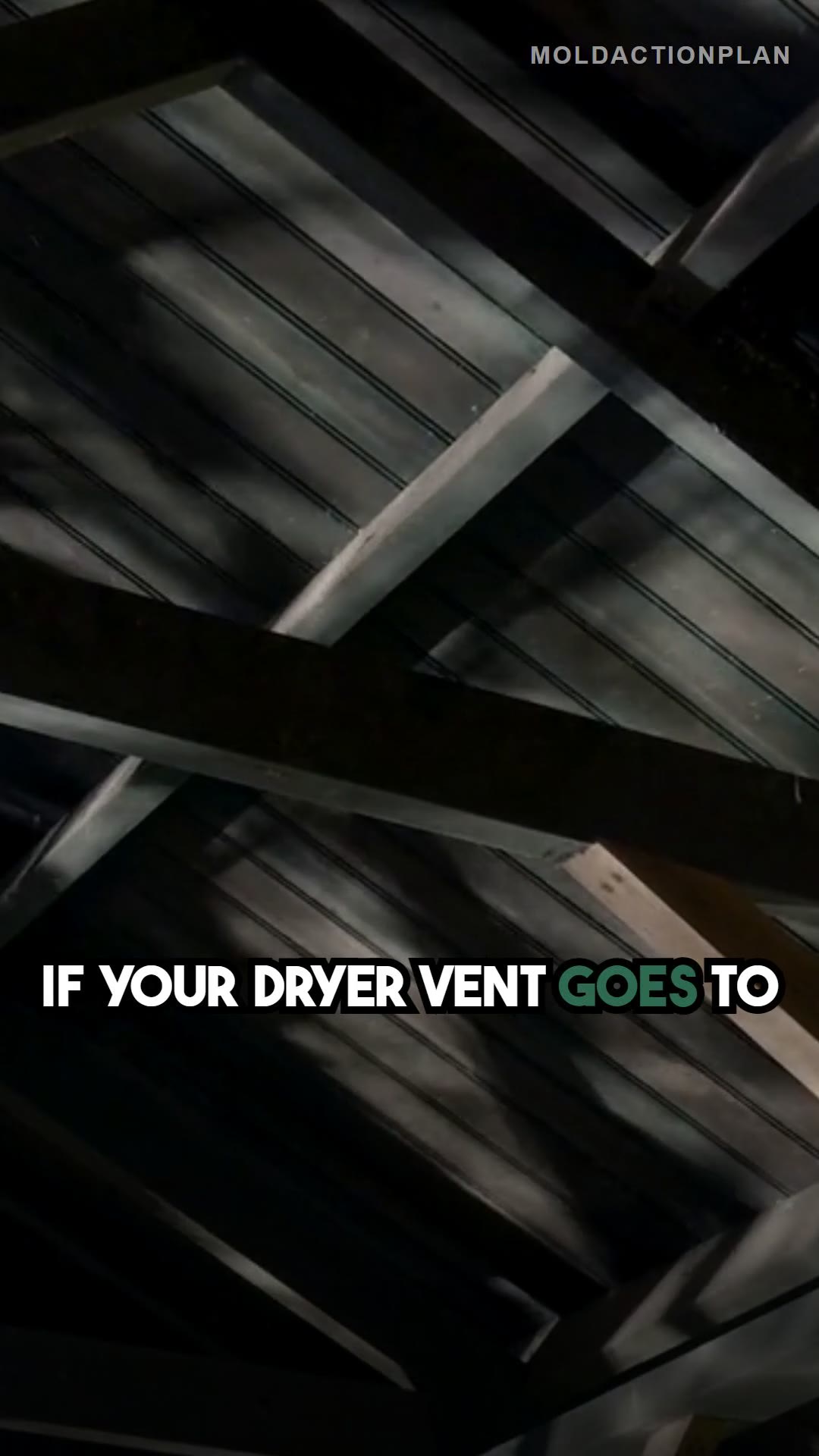 Dryer Vent Check Saves Thousands