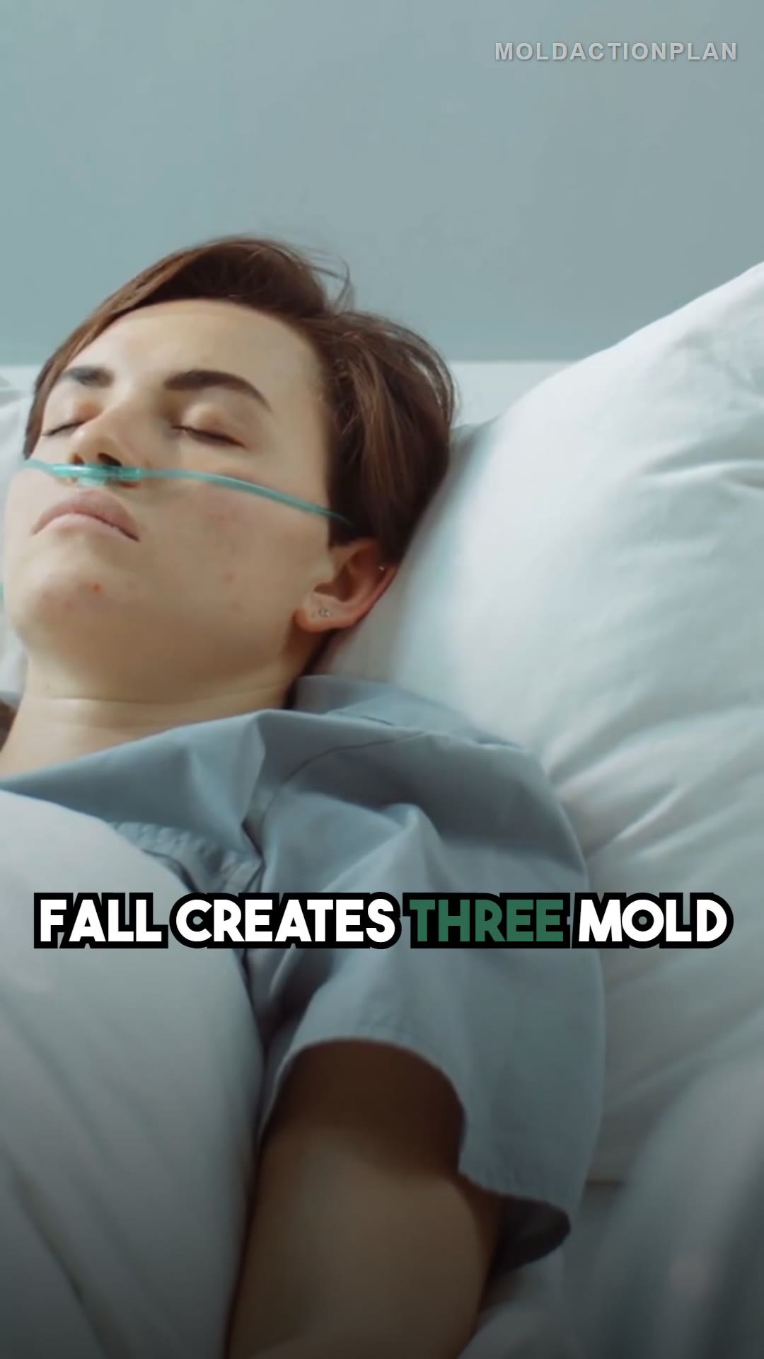 Fall Mold Traps Around Your House