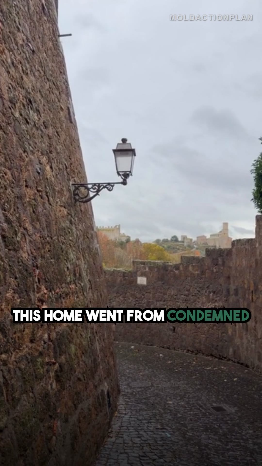 From Mold Disaster to Mold-Free Home