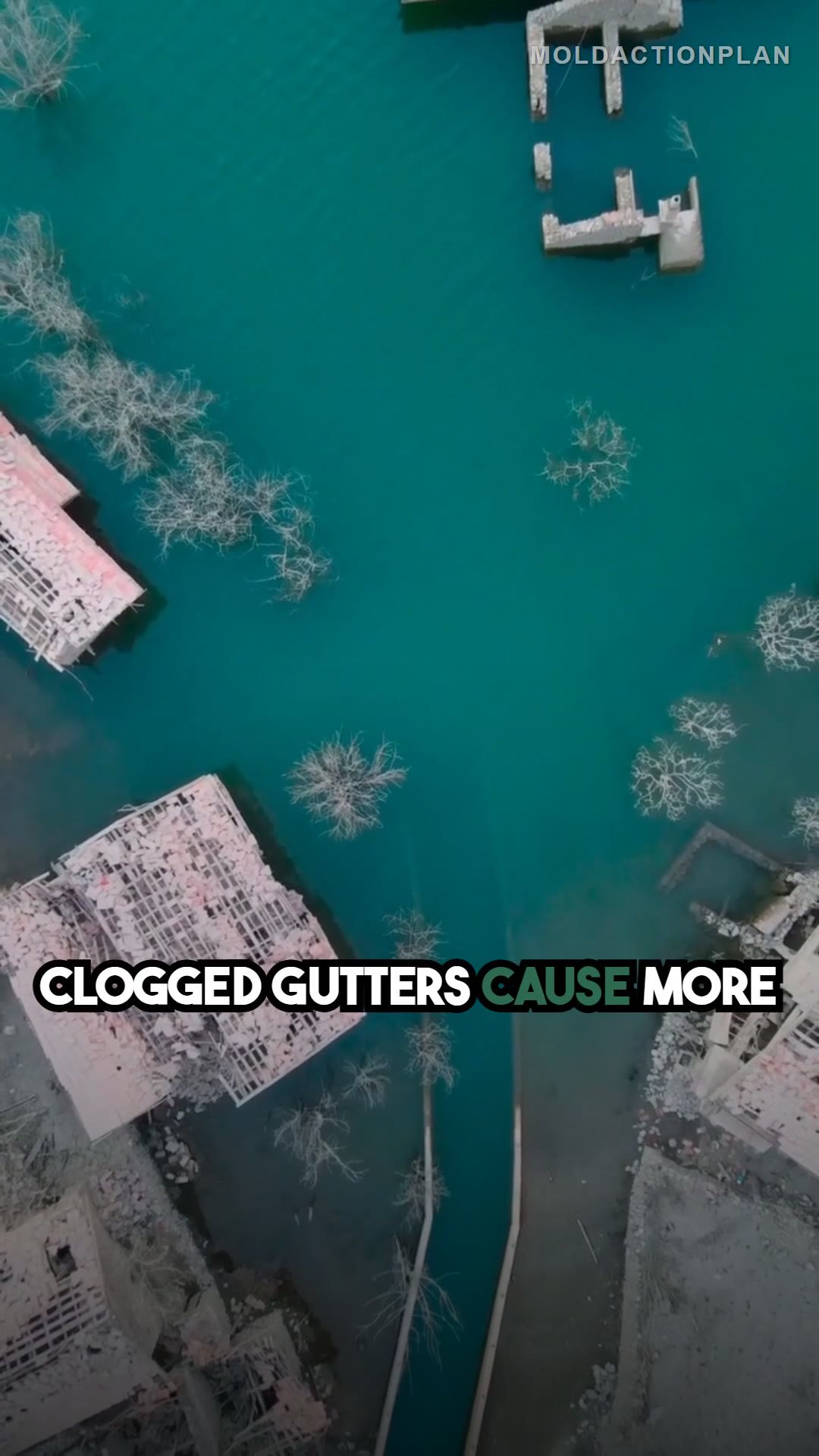 Gutter Maintenance Prevents Mold