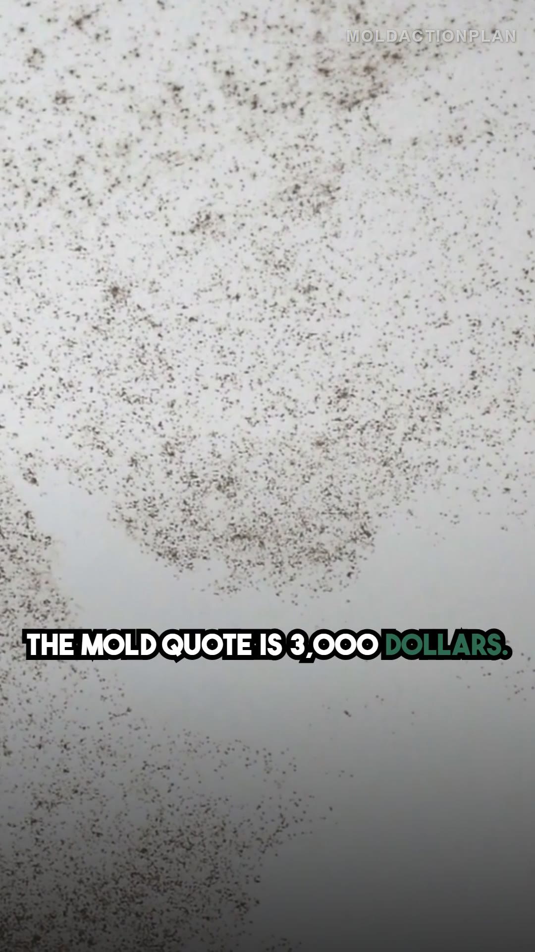 Hidden Costs of Mold Remediation
