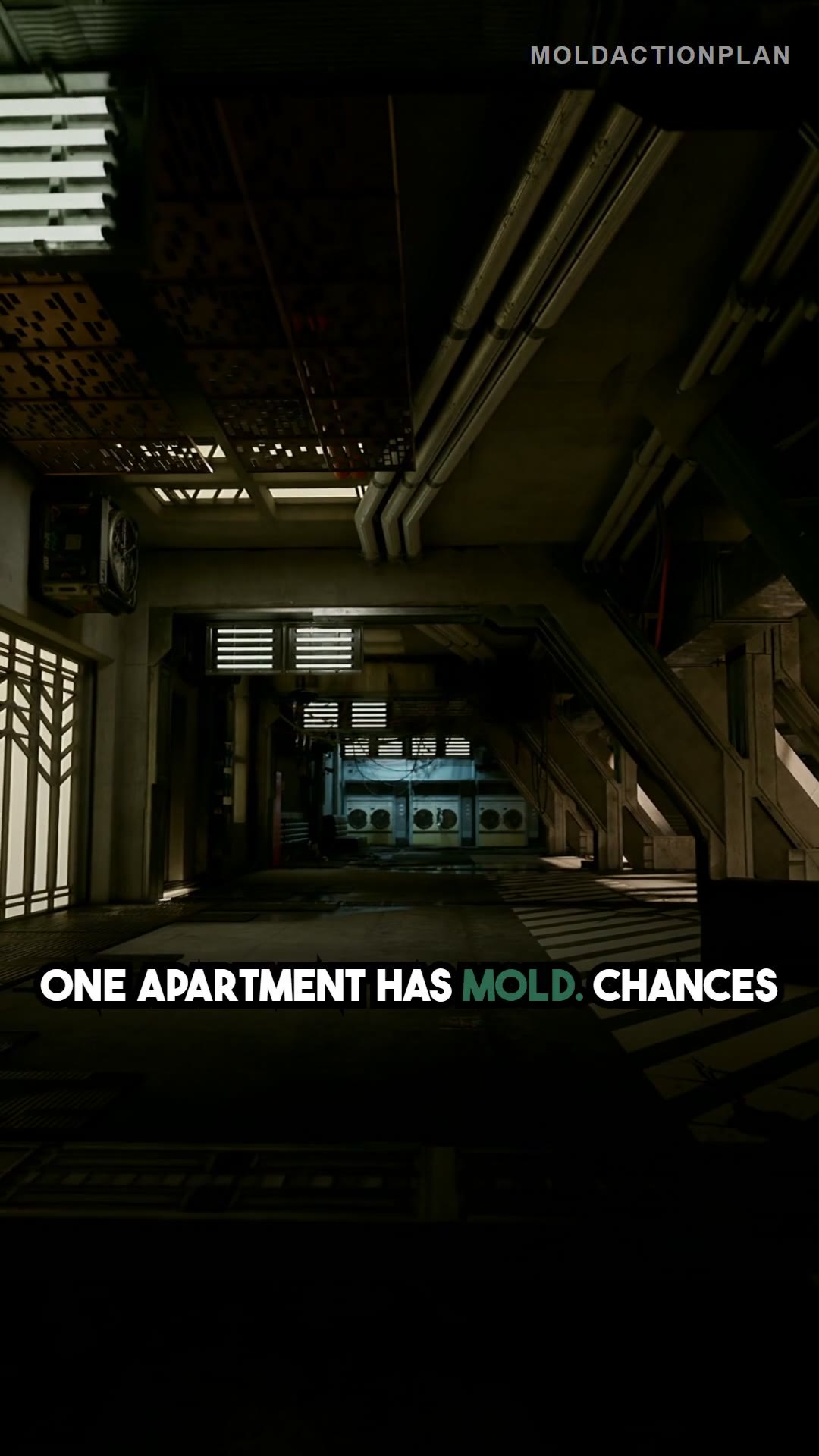 Hidden Mold Epidemic in Apartments