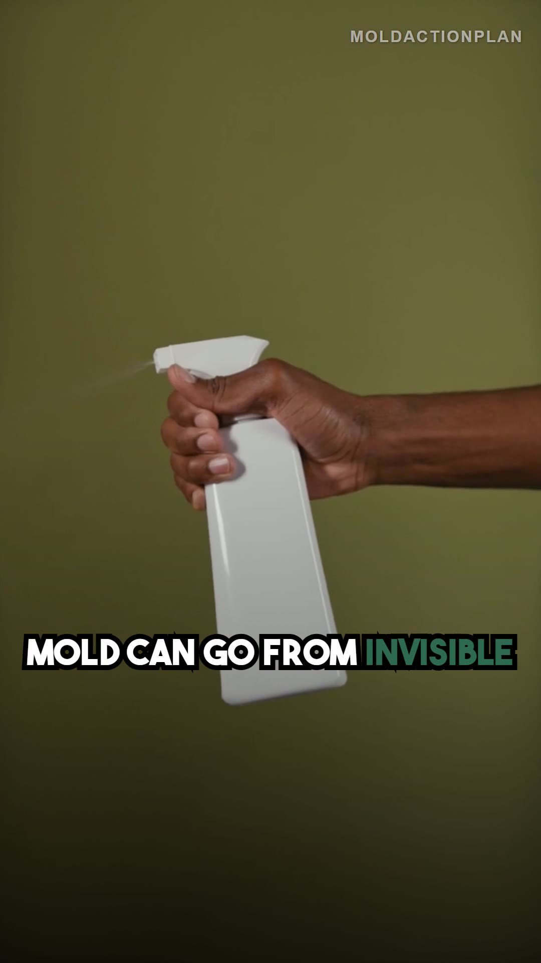 How Fast Mold Actually Grows