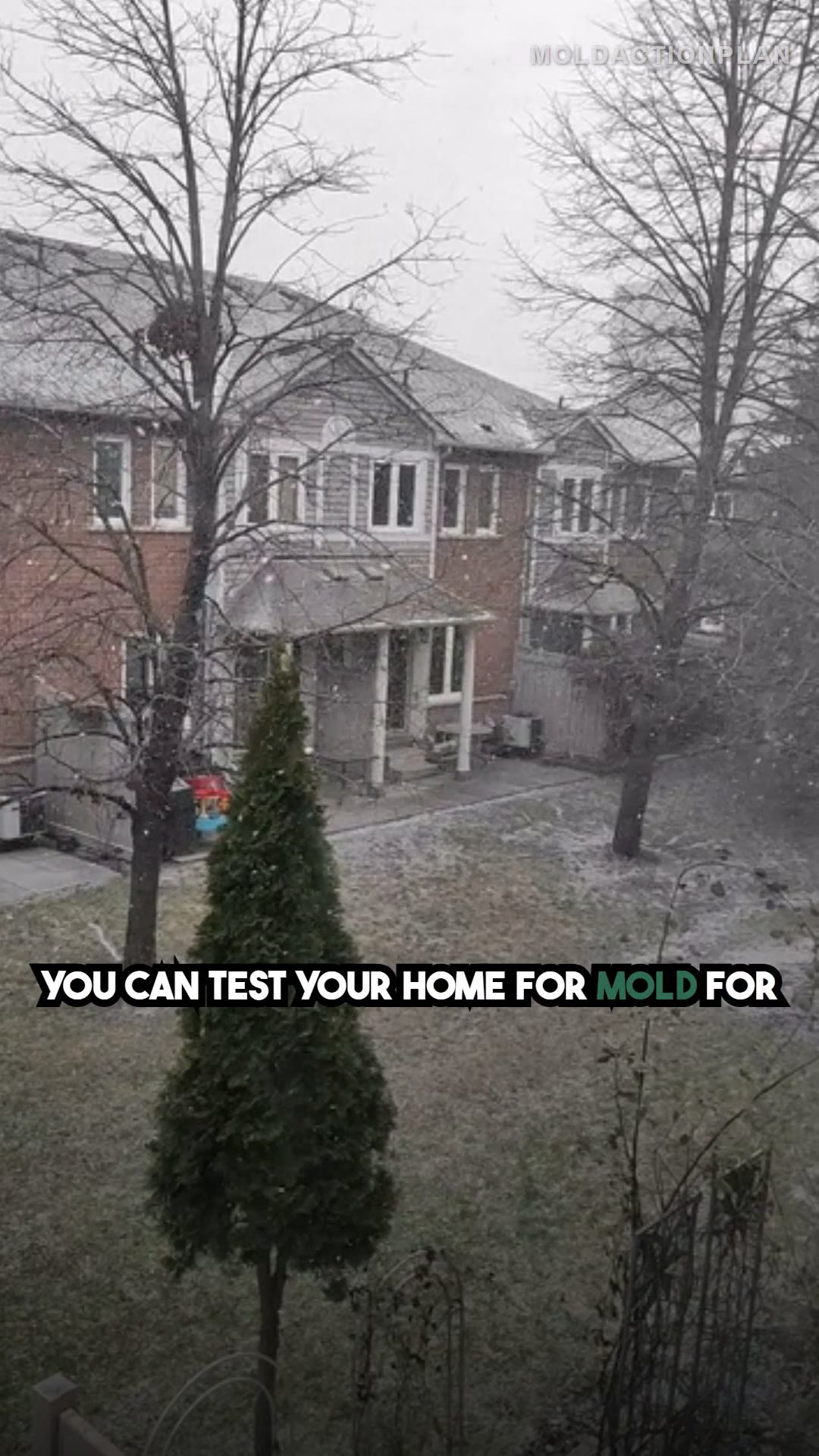 How to Test Your Home for Mold (Cheap)