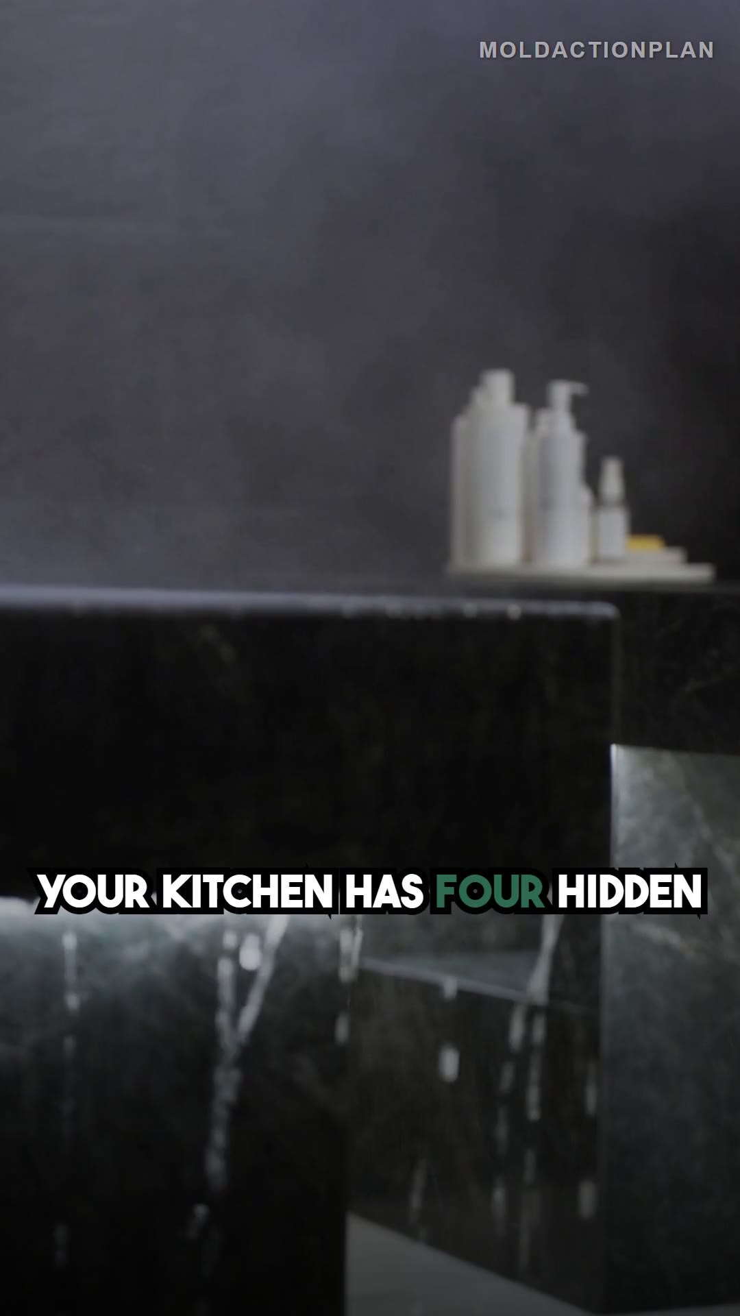 Kitchen Mold Prevention