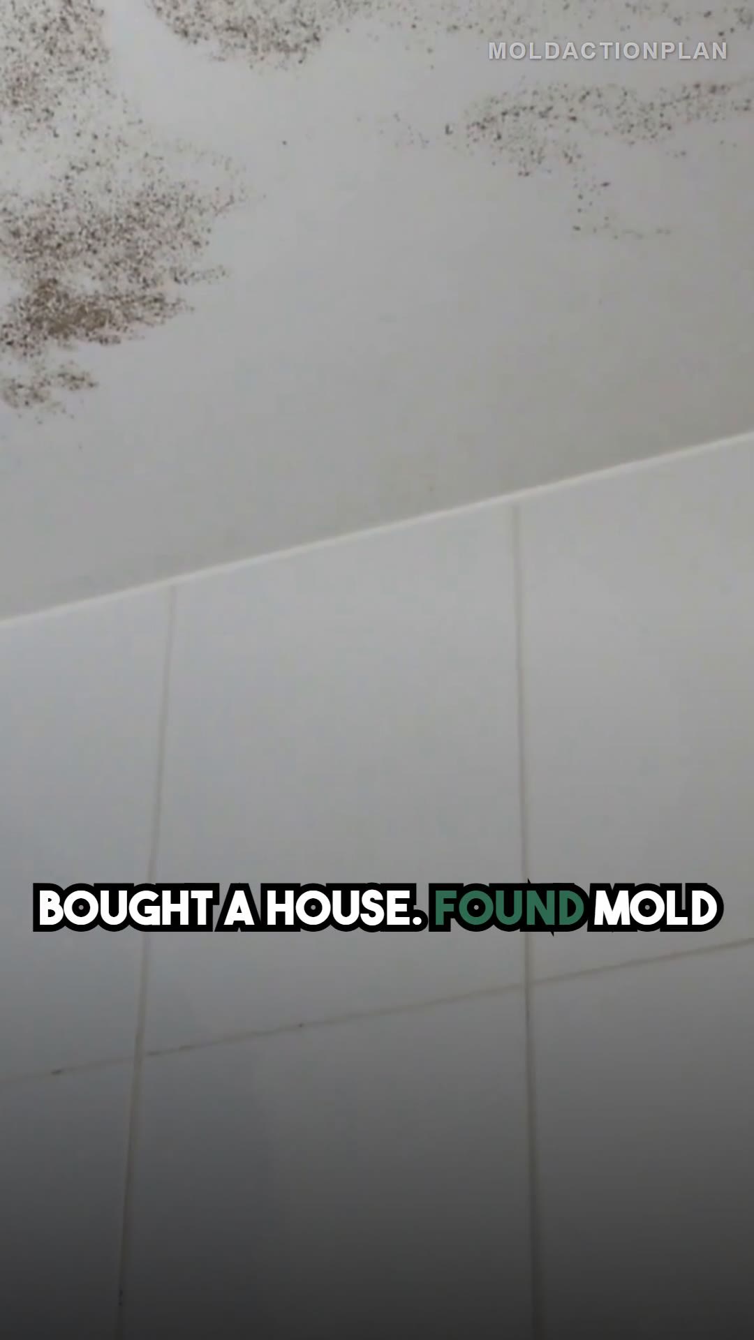 Mold in a Newly Bought Home