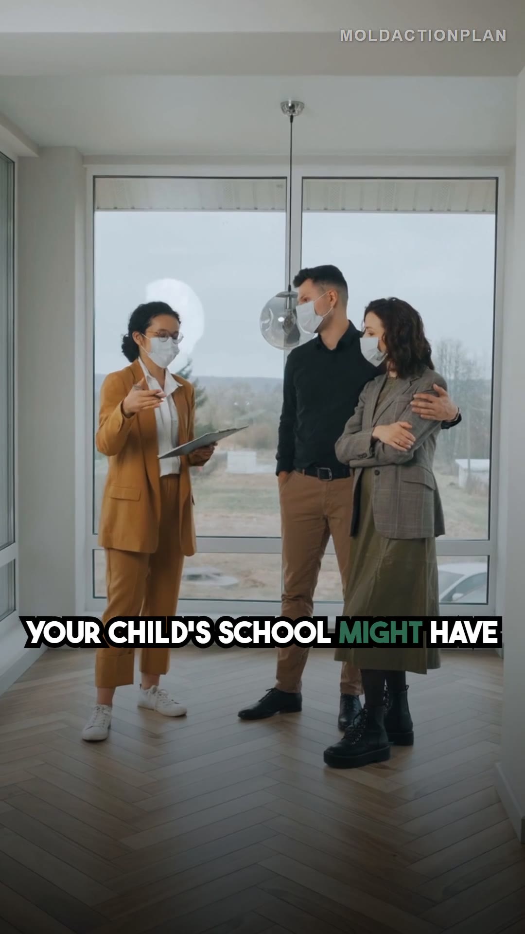 Mold in Schools: What Parents Should Know