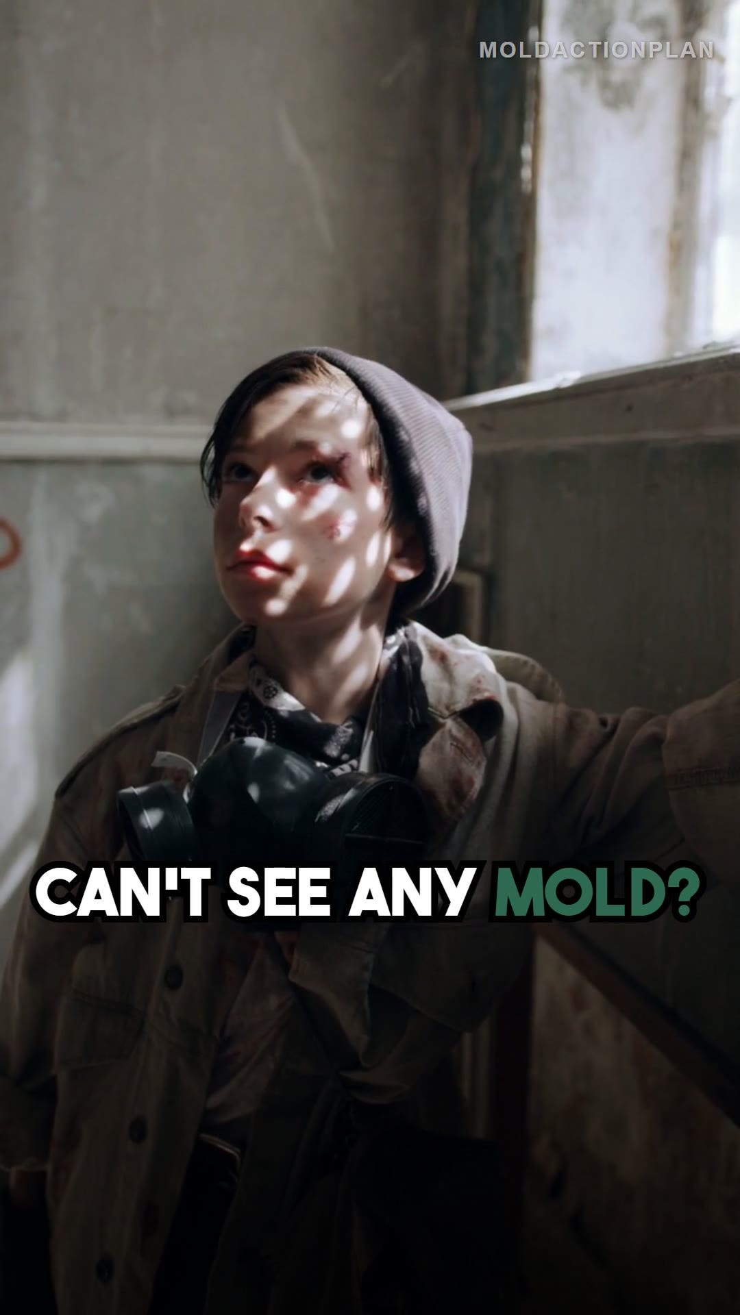 Mold Is Only a Problem If You Can See It: MYTH