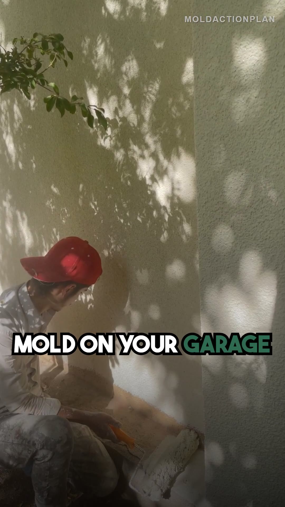 Mold on Concrete: How to Clean It