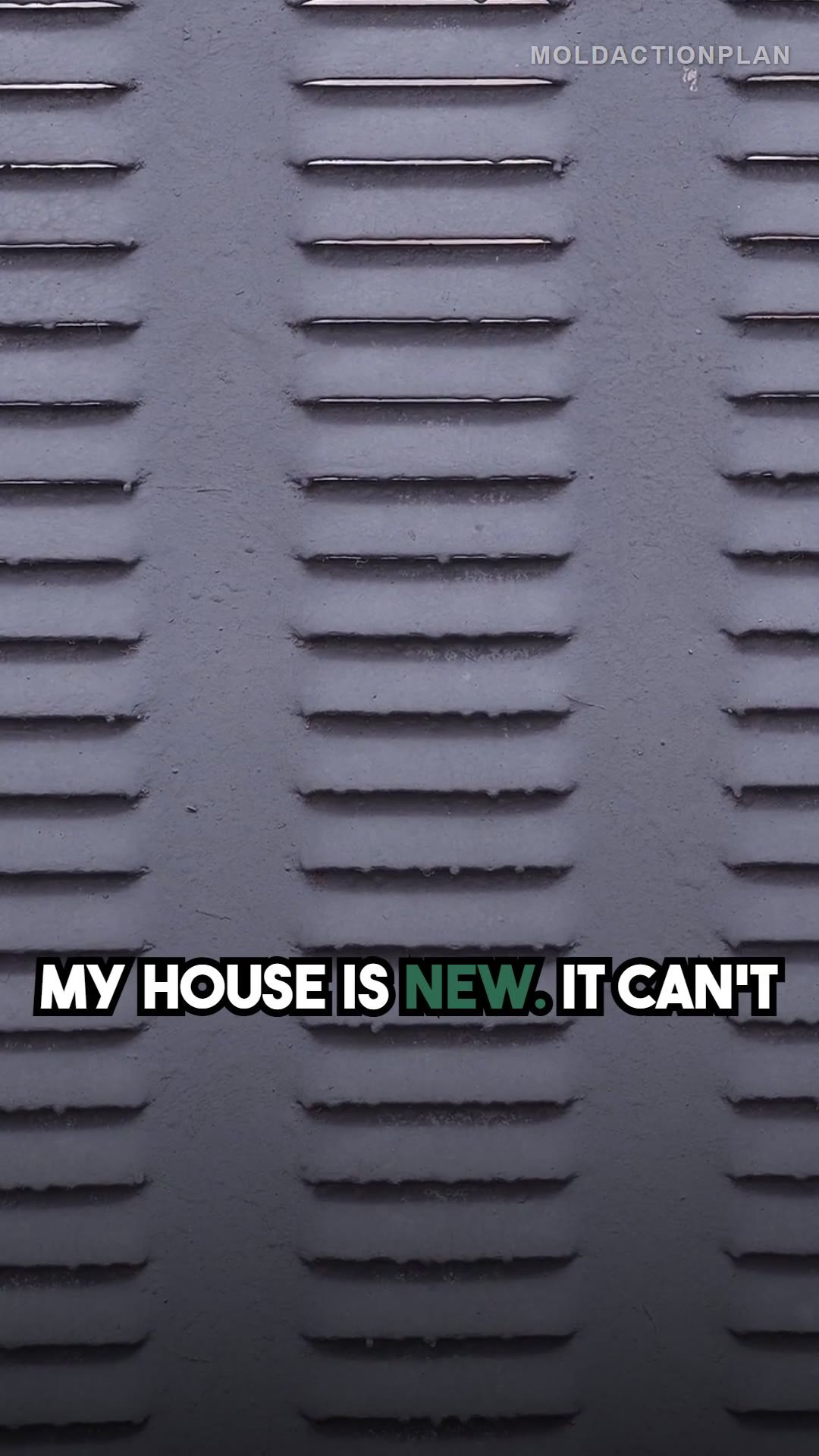 Mold Only Grows in Old Houses: MYTH