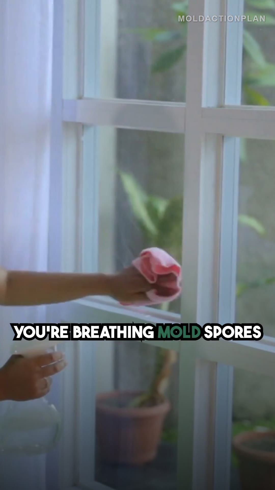 Mold Spores in Every Breath