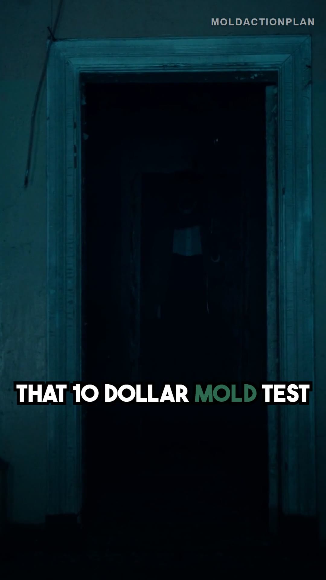 Mold Test Kits Are Reliable: MYTH