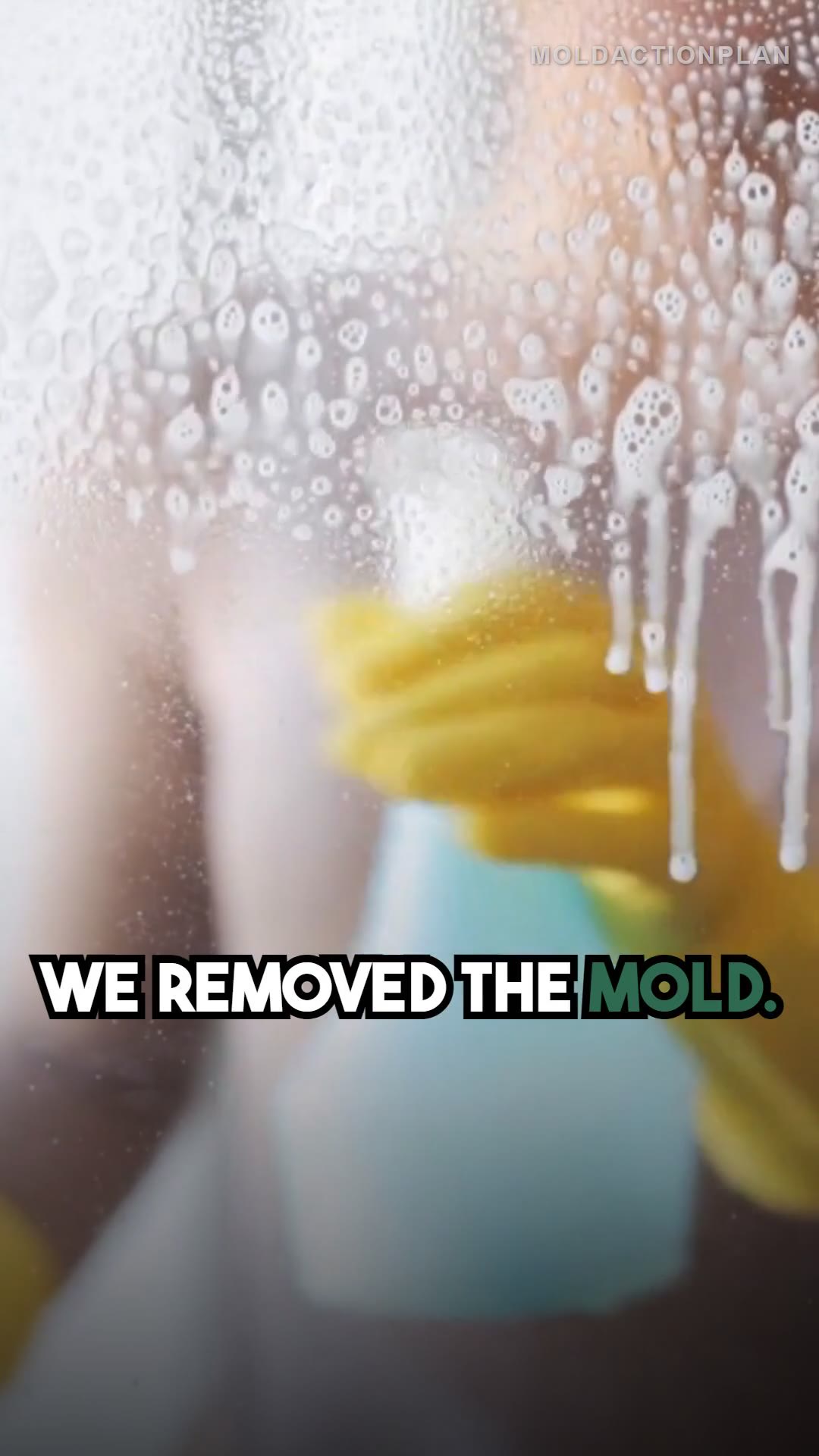 Once Remediated Mold Wont Ret