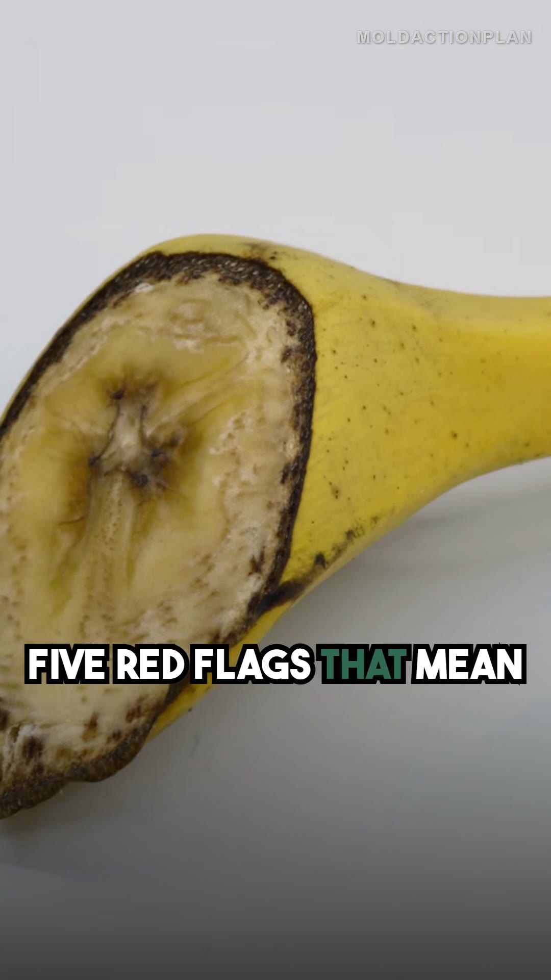 Red Flags When Hiring a Mold Company