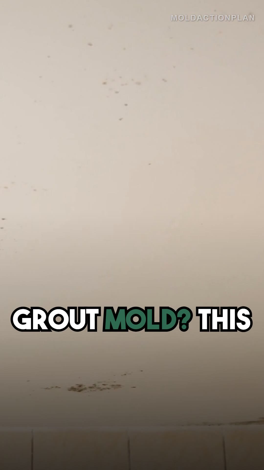 Remove Mold from Tile Grout