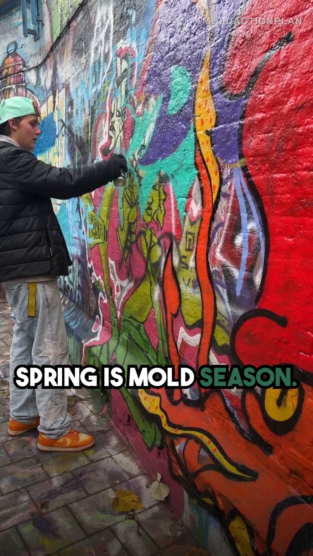 Spring Mold Prevention Checklist
