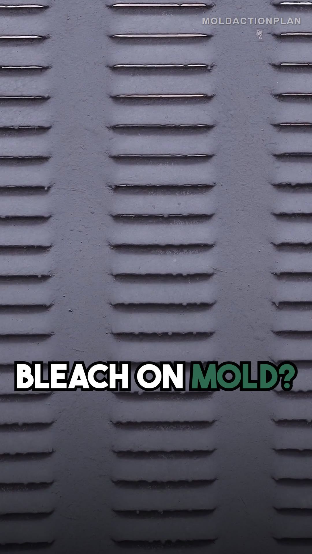 Stop Using Bleach on Mold