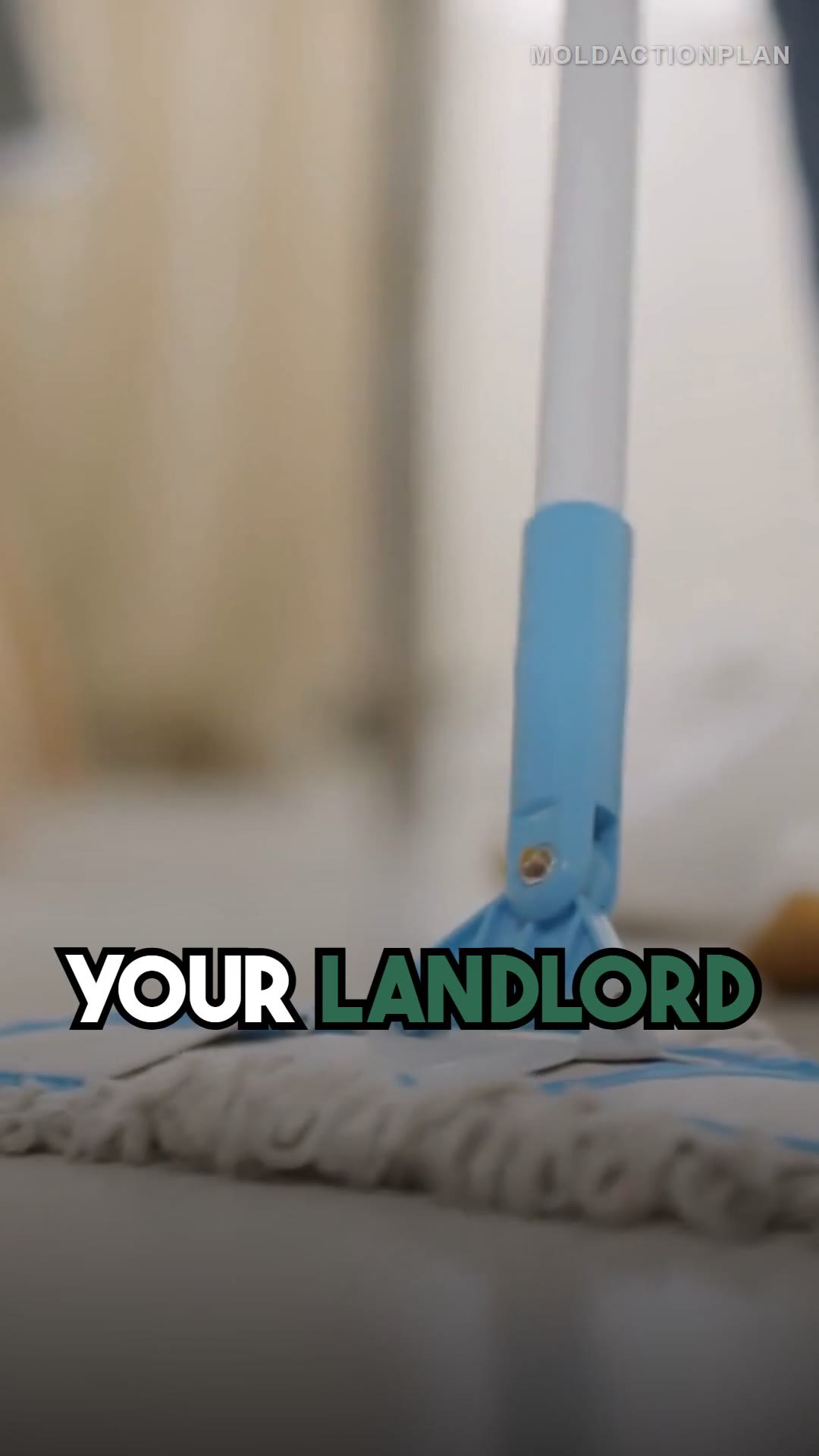 Tenant Rights: Mold in Your Rental