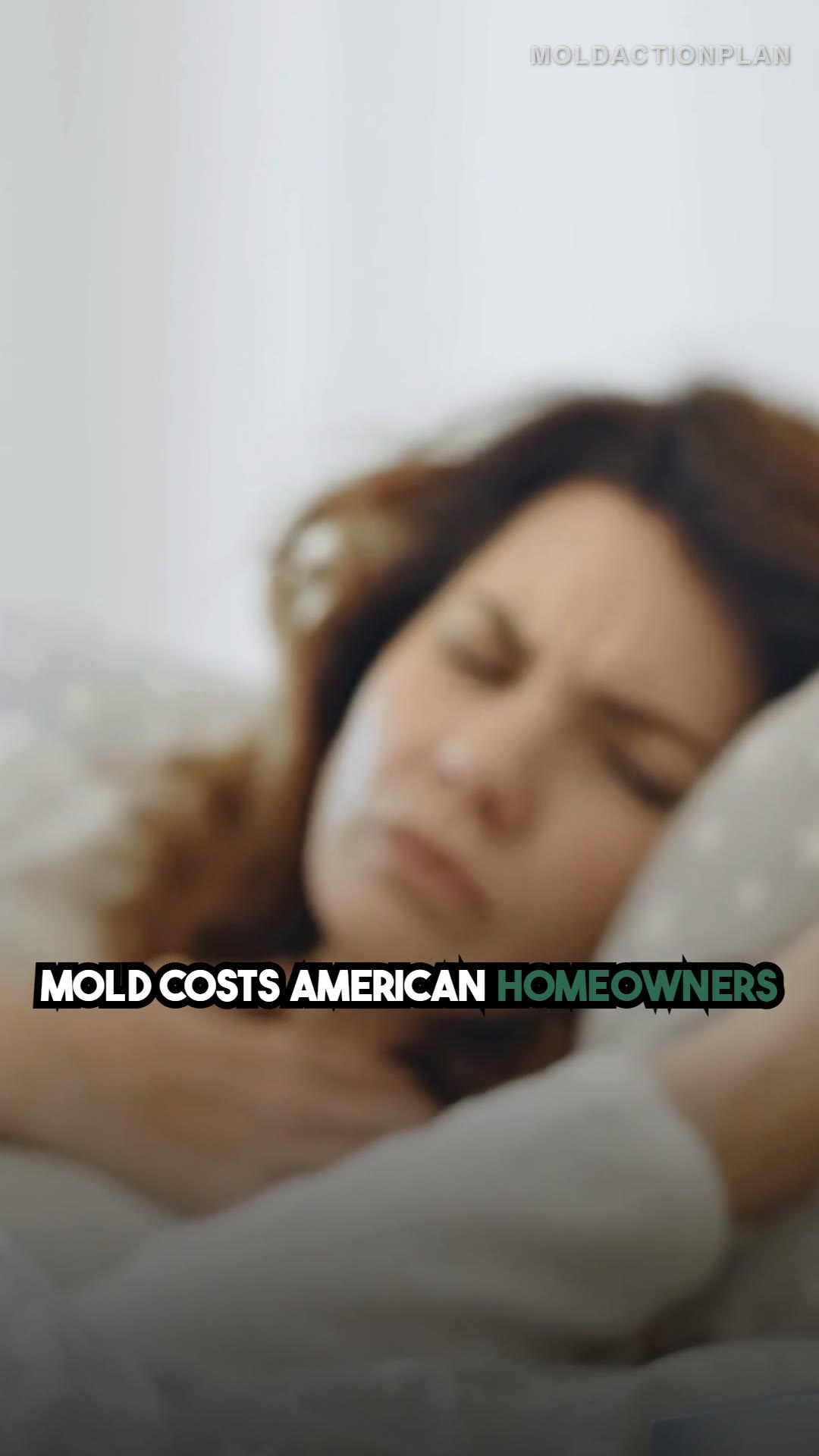 The $20 Billion Mold Problem