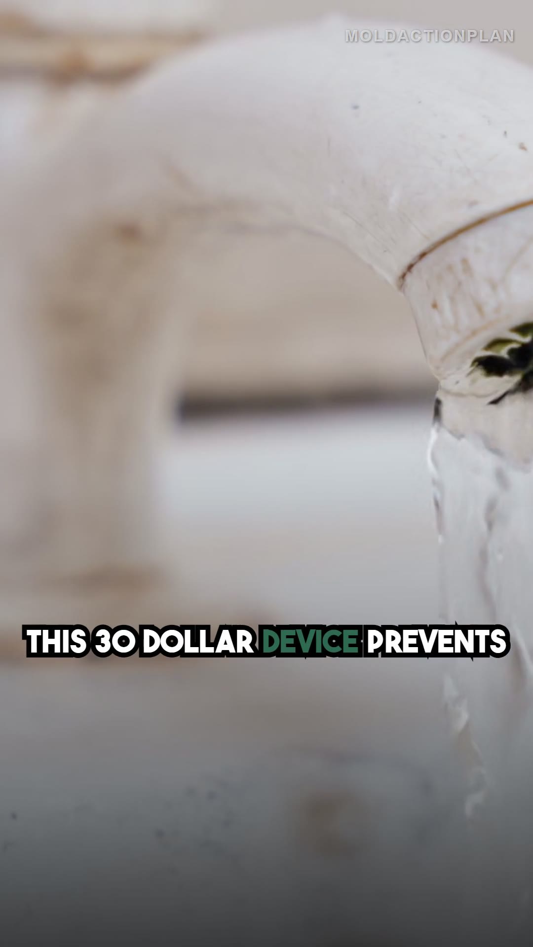 The $30 Tool That Prevents Mold