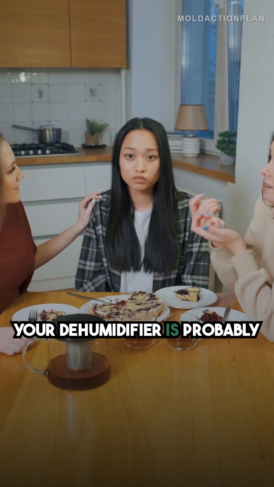 The Dehumidifier Settings Nobody Gets Right