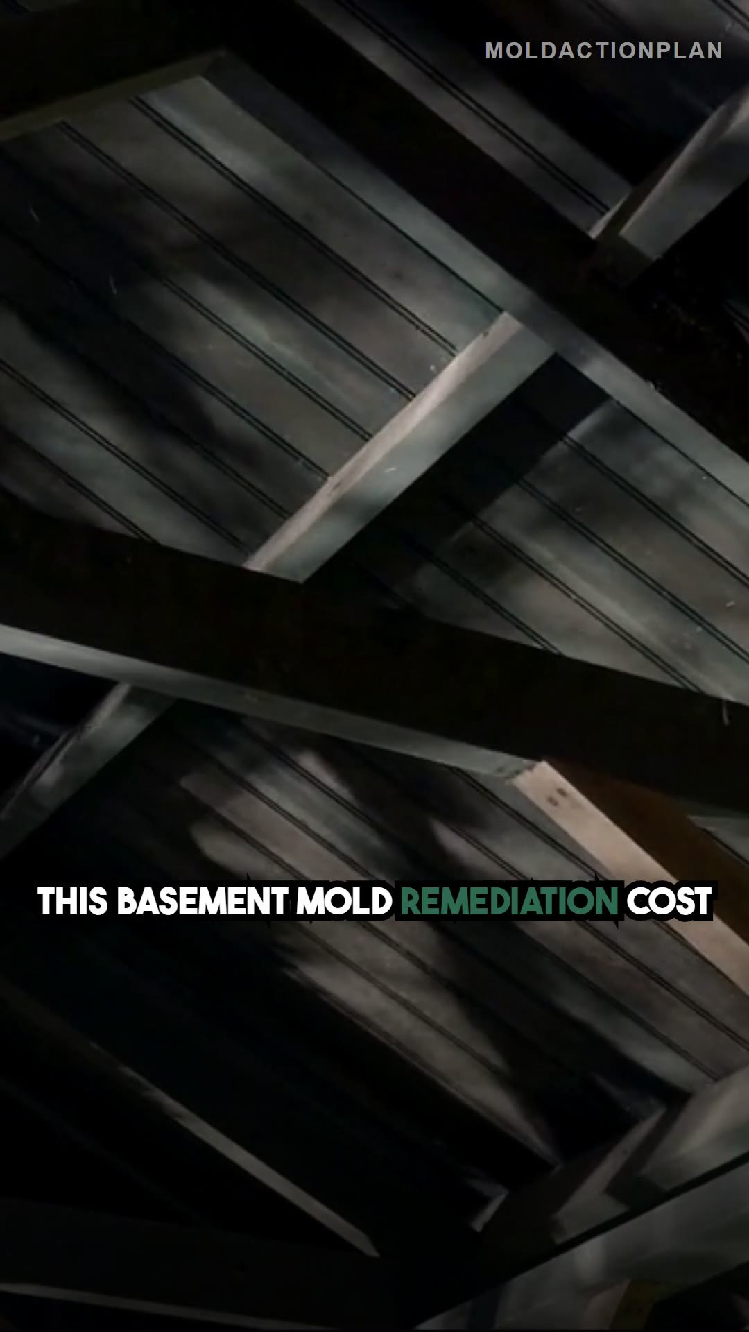 What $15,000 of Mold Damage Looks Like