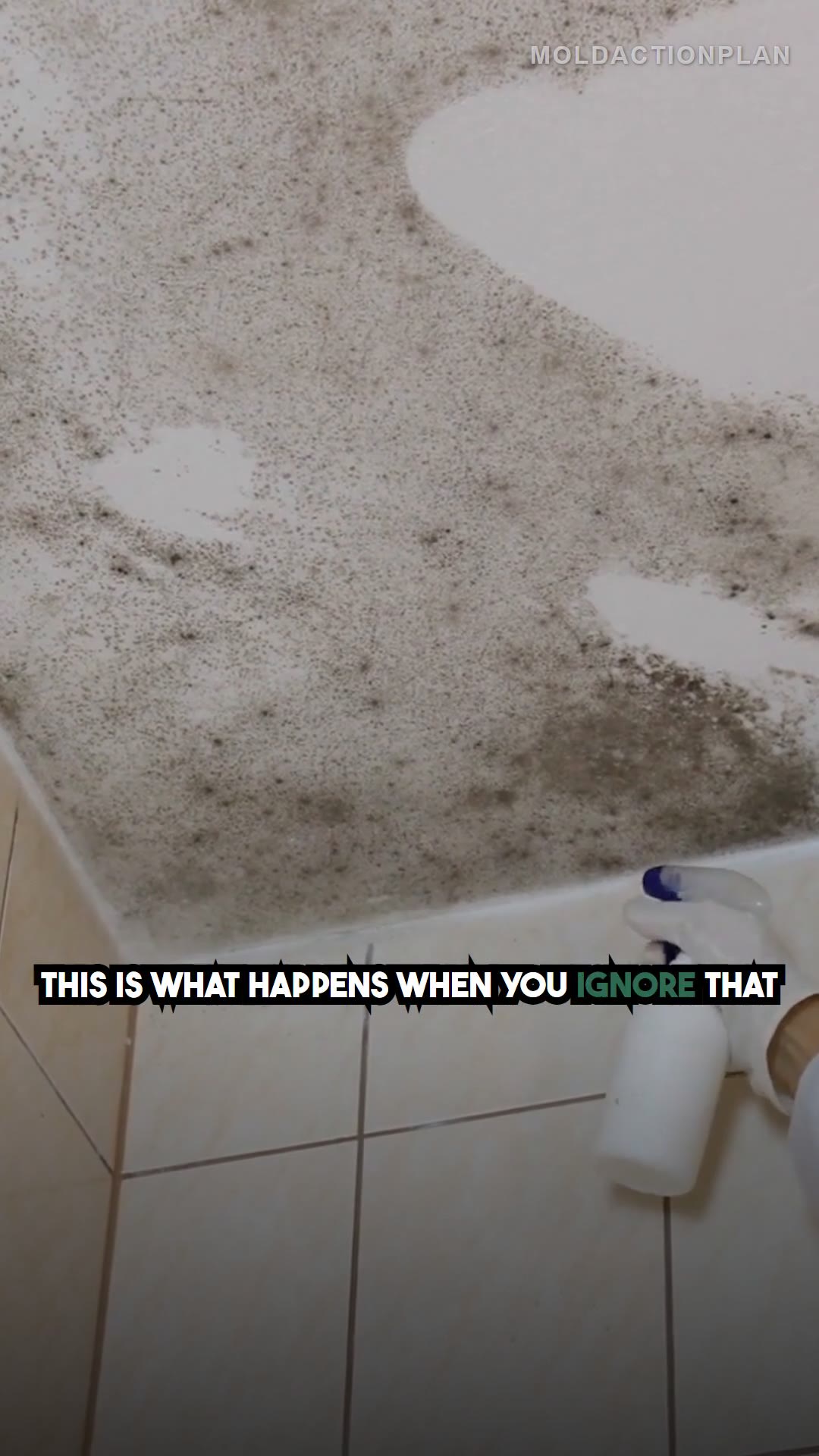 What $5,000 of Mold Damage Looks Like