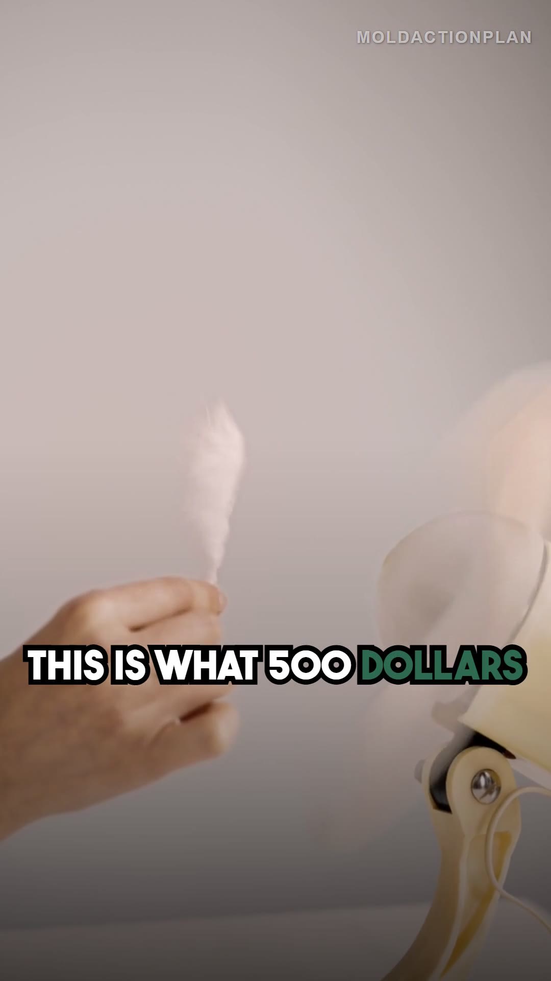 What $500 of Mold Damage Looks Like