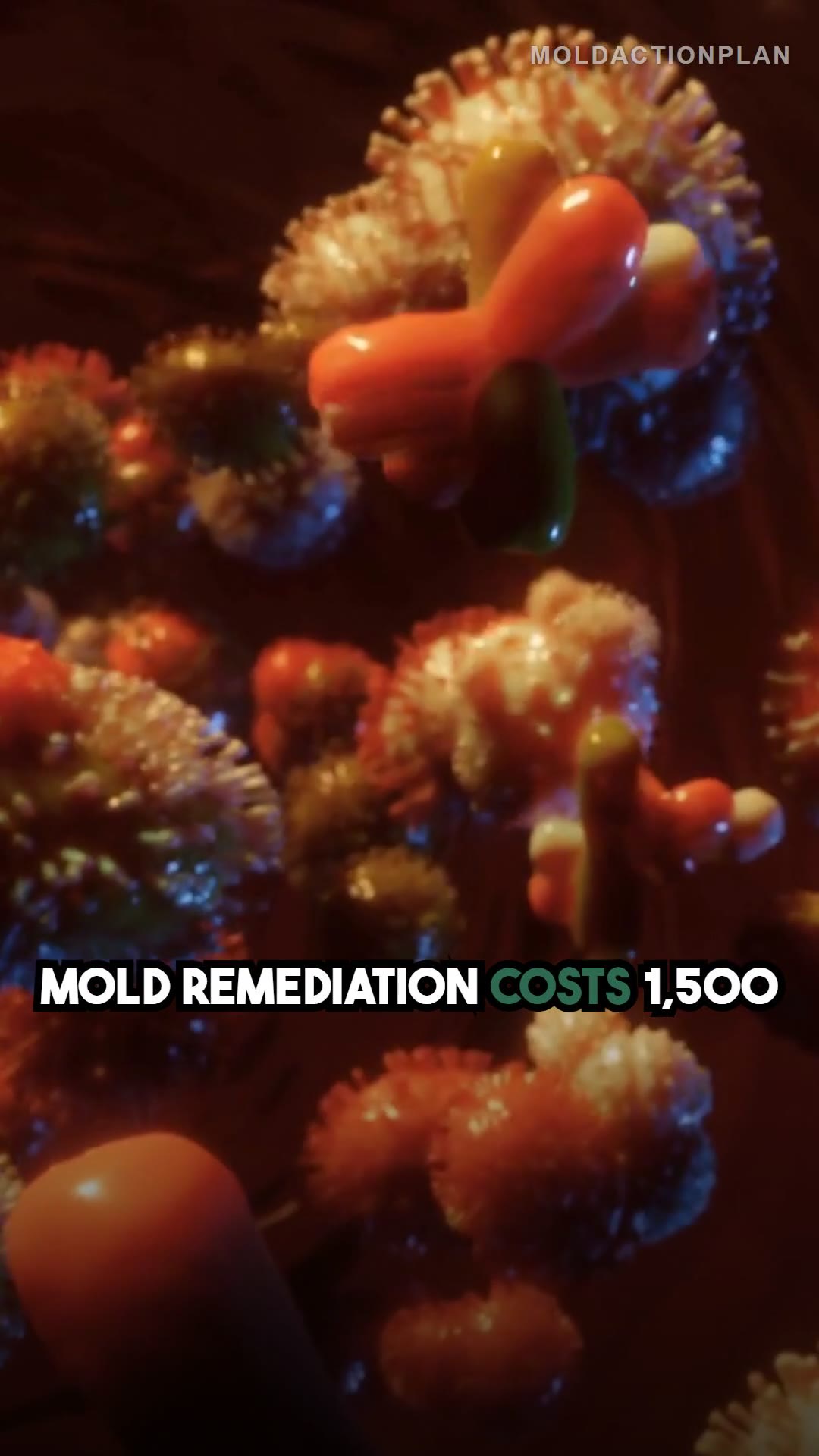 What Mold Remediation Actually Costs